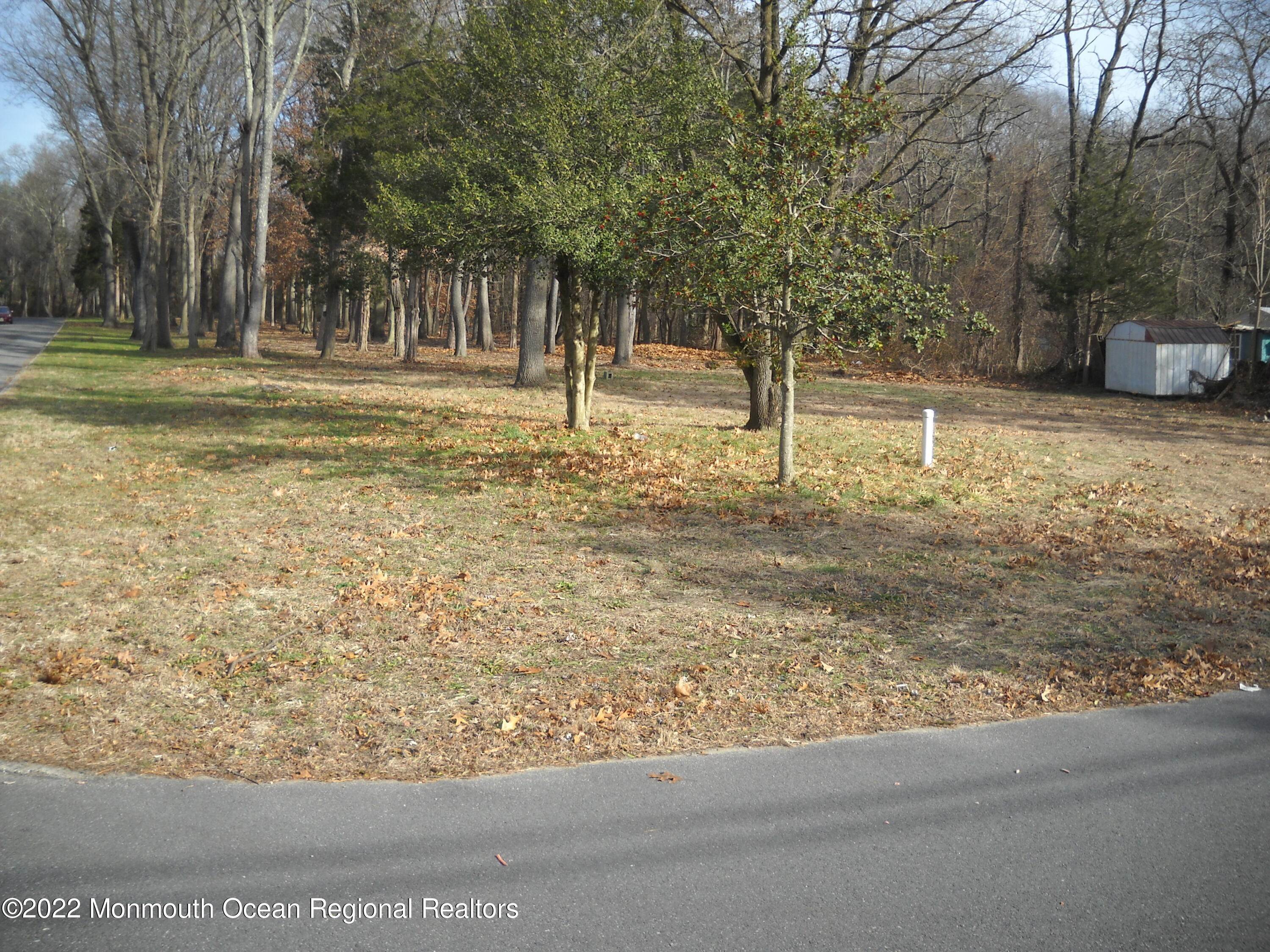 Land for Sale at 29 Mary Street Wrightstown, New Jersey 08562 United States