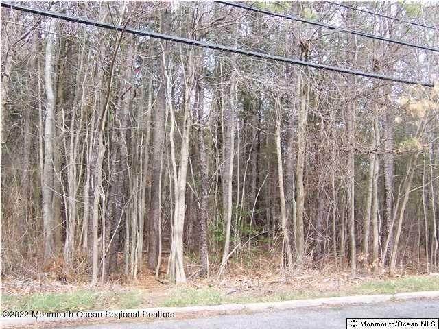 Property for Sale at 2022 Red Cedar Street Toms River, New Jersey 08753 United States