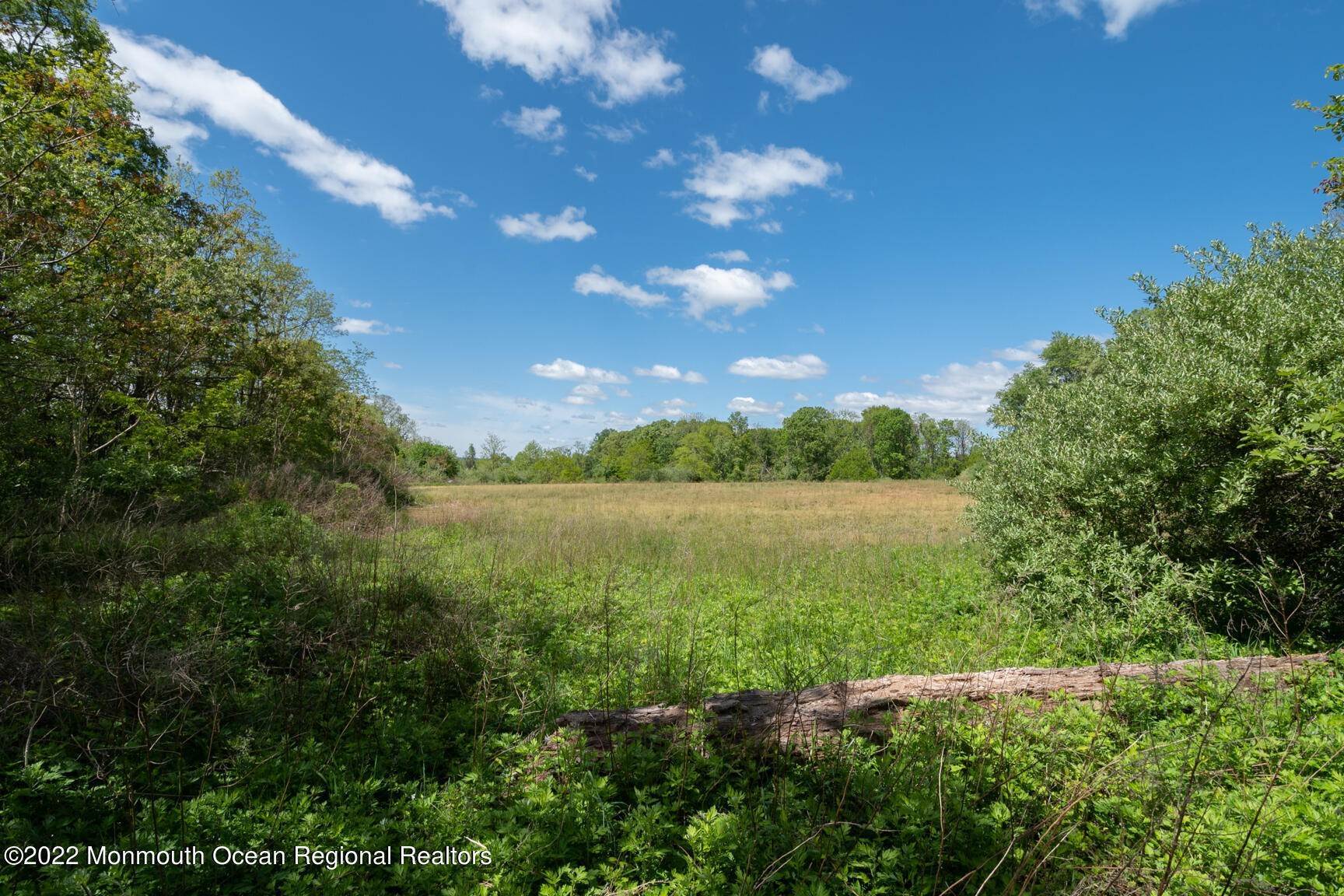 Land for Sale at 50 Rues Road Cream Ridge, New Jersey 08514 United States
