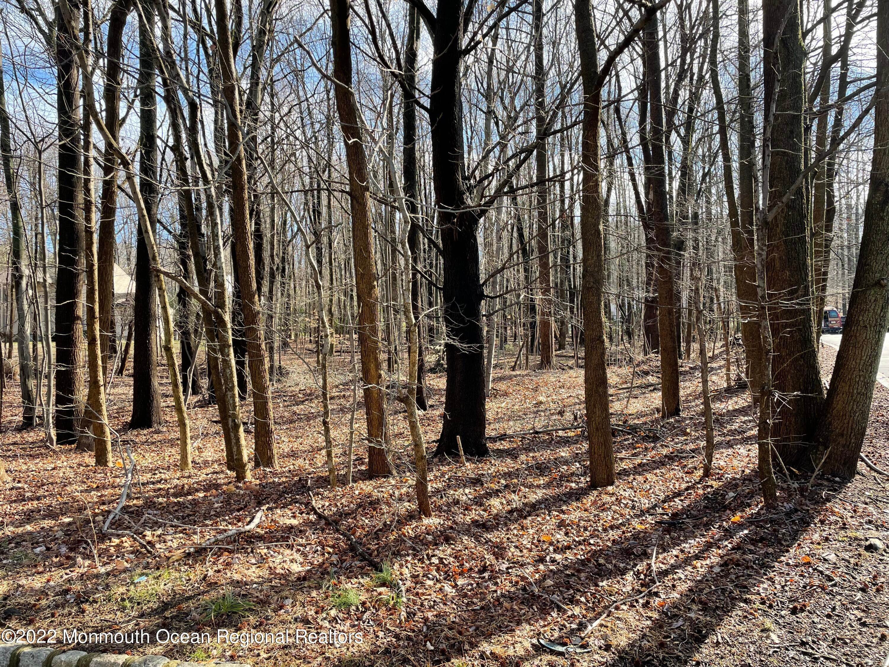 Land for Sale at 8 Red Coach Lane Holmdel, New Jersey 07733 United States