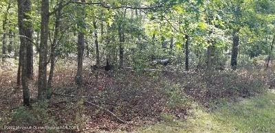 Land for Sale at Pancoast Road Stafford Township, New Jersey 08050 United States
